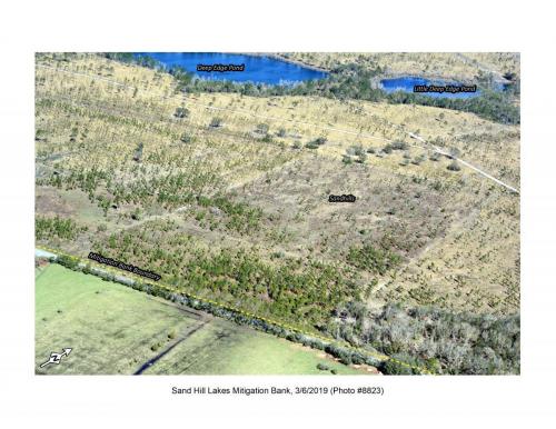 SHLMB Aerial 030619 No 8823