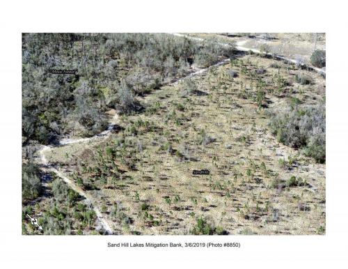 SHLMB Aerial 030619 No 8850