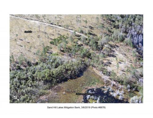 SHLMB Aerial 030619 No 8878