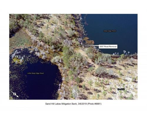 SHLMB Aerial 030619 No 8881