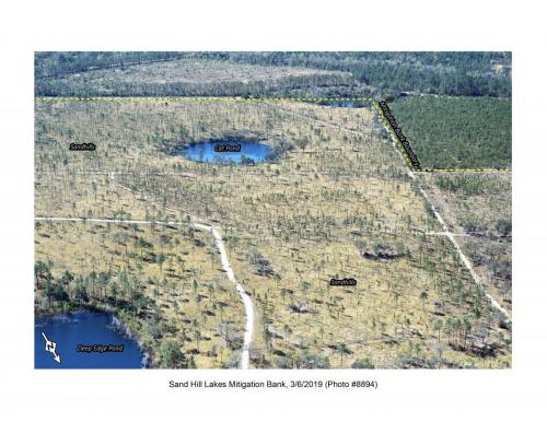 SHLMB Aerial 030619 No 8894