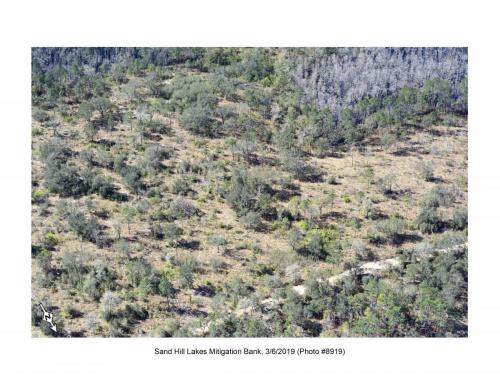 SHLMB Aerial 030619 No 8919