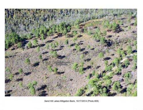 SHLMB Aerial 101714 26