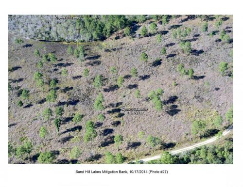 SHLMB Aerial 101714 27