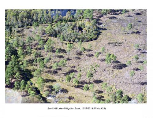 SHLMB Aerial 101714 29