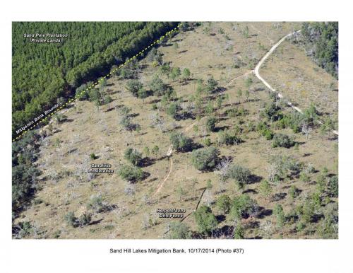 SHLMB Aerial 101714 37