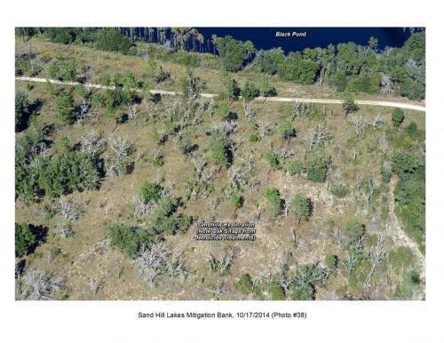 SHLMB Aerial 101714 38
