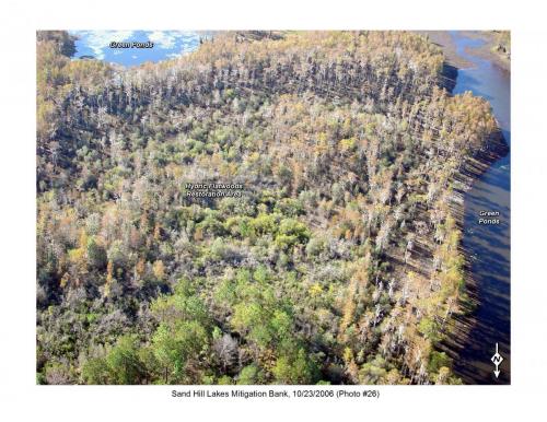 SHLMB Aerial 102306 26