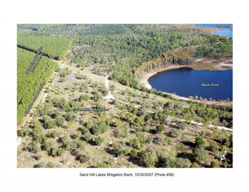SHLMB Aerial 103007 36