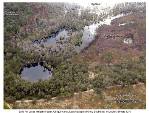 shlmb aerial 112013 27
