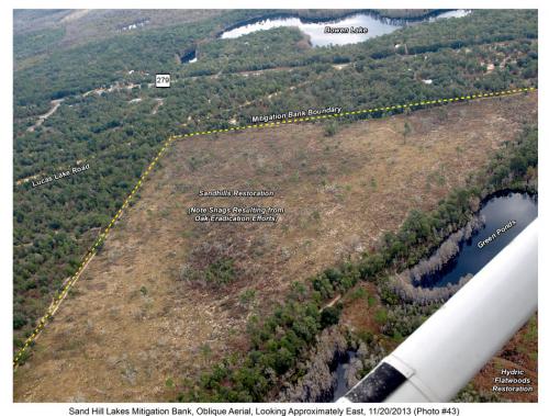 shlmb aerial 112013 43