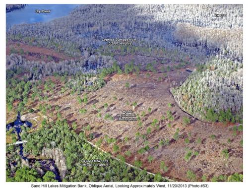 shlmb aerial 112013 53