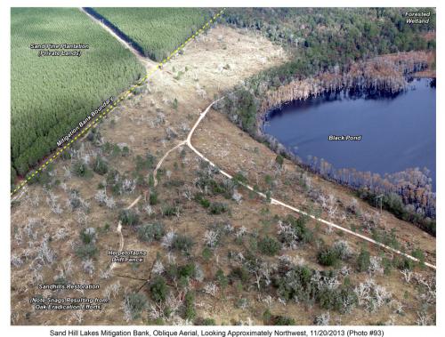 shlmb aerial 112013 93